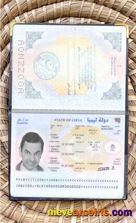 Libya passport photolook